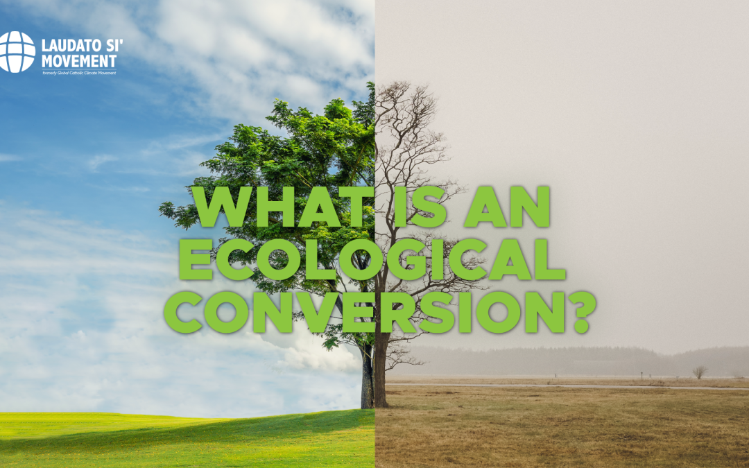 What is an ecological conversion?