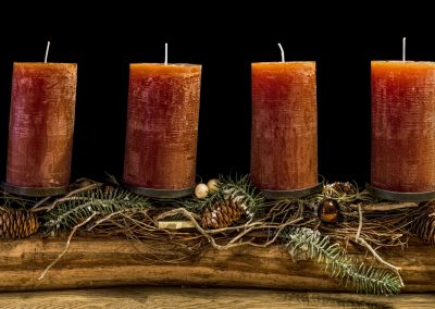 Advent 2021: God’s gifts to us in creation