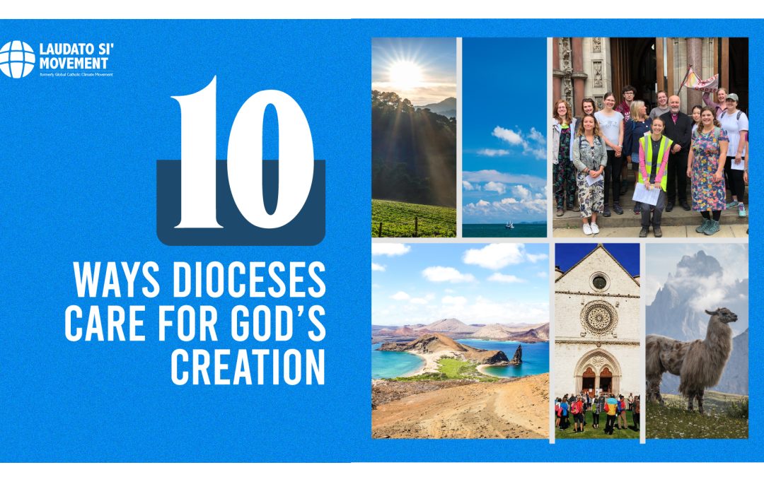 10 maneras en que las diócesis católicas pueden cuidar la creación de Dios