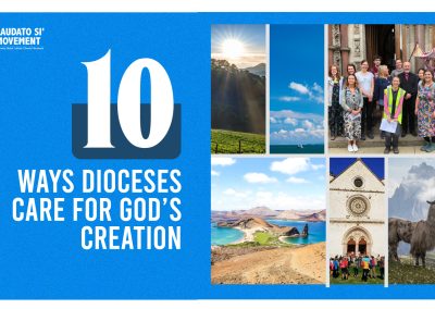 10 maneiras como as dioceses católicas podem cuidar da criação de Deus