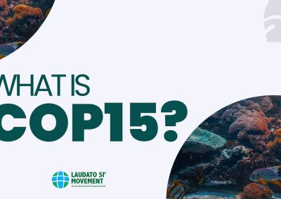 What is COP15?