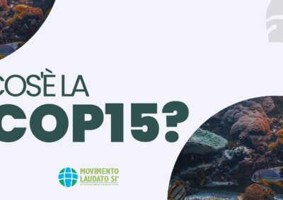 Cos’è la COP15?