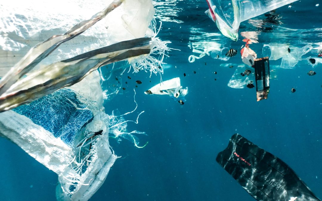 Papa Francesco: ‘Buttare la plastica in mare è un crimine’