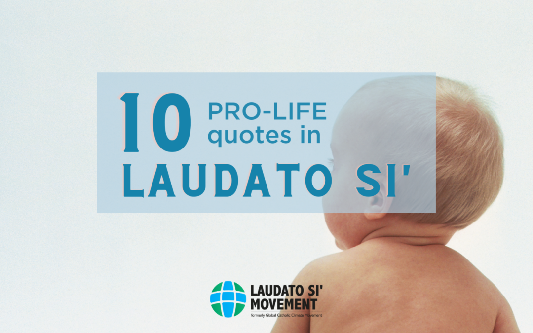 10 pro-life quotes in Laudato Si’