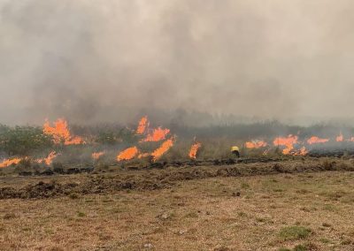 Ecological catastrophe in Corrientes, Argentina: 9% of the province has been burned