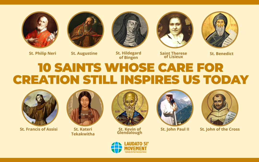 10 santos nos inspiran al cuidado de la creación