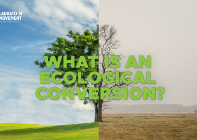 What is an ecological conversion?