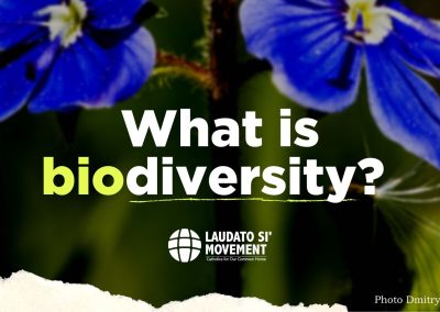 O que é biodiversidade?