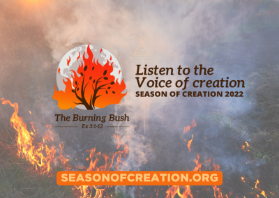 O símbolo do Tempo da Criação 2022: a sarça ardente
