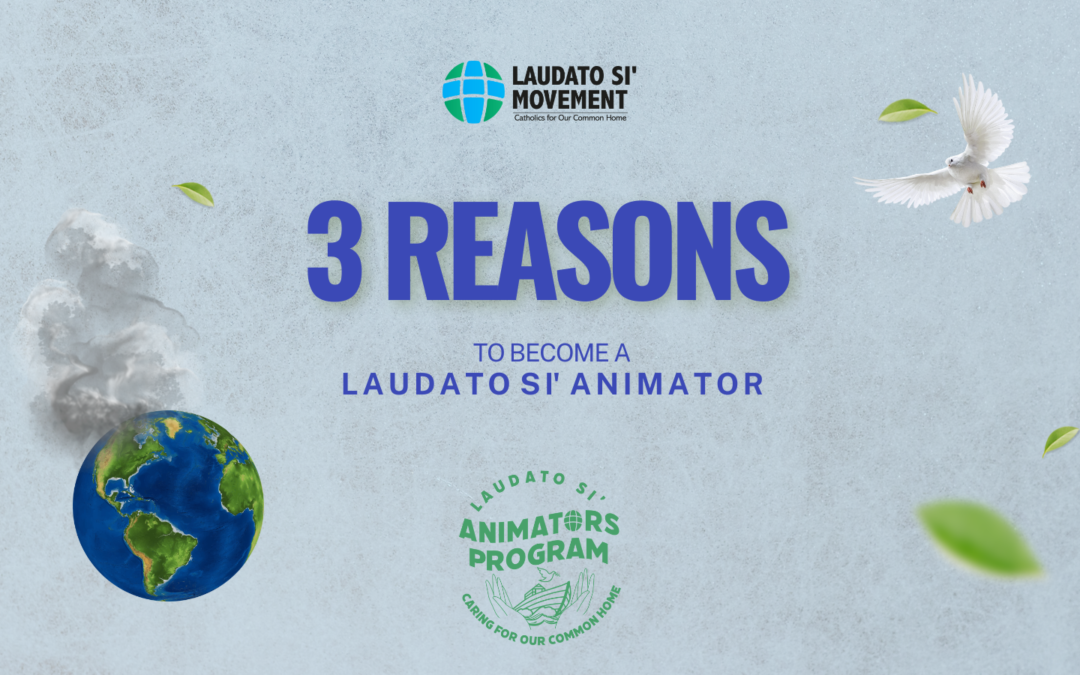 3 Reasons to become a Laudato Si’ Animator