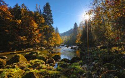 Los católicos piden que no se pierda más biodiversidad apoyando el Tratado de No Proliferación de Combustibles Fósiles