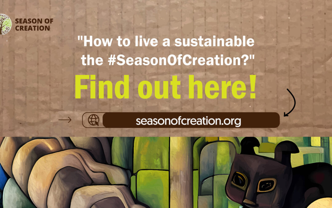 How to live a more sustainable Season of Creation (and a more sustainable life)?