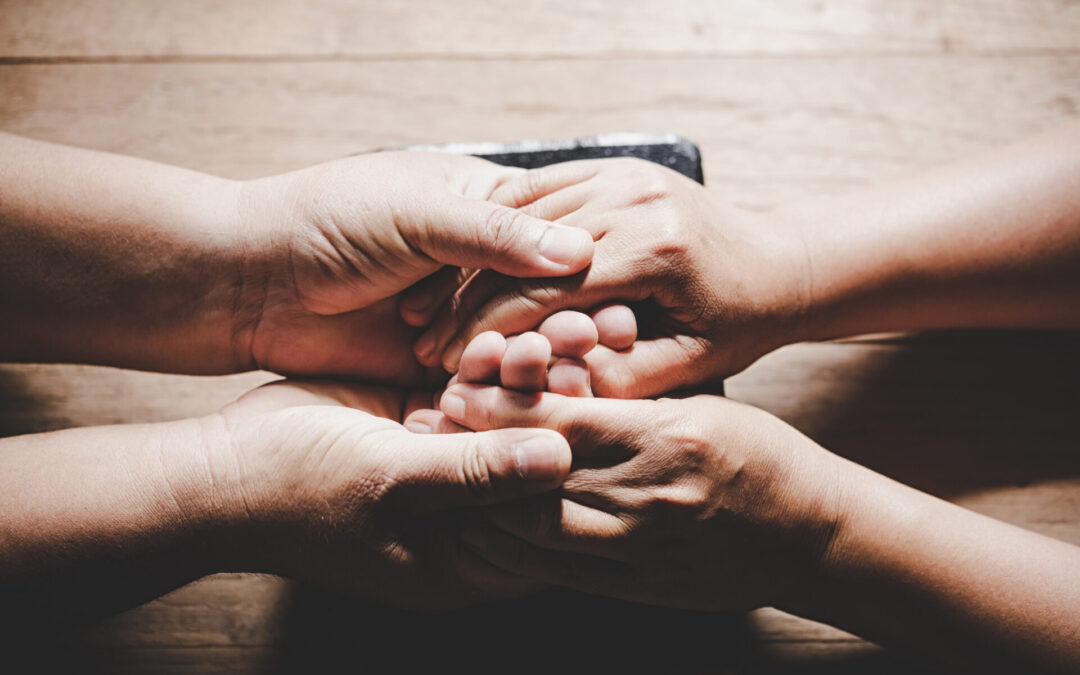 “Solamente partendo dal coltivare solide virtù è possibile la donazione di sé in un impegno ecologico”