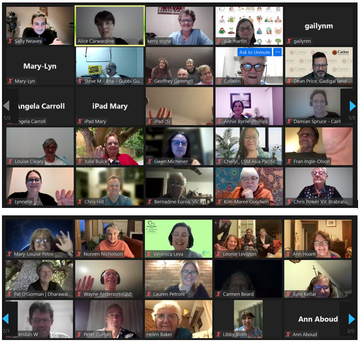 Participants on the online screening of The Letter in Australia