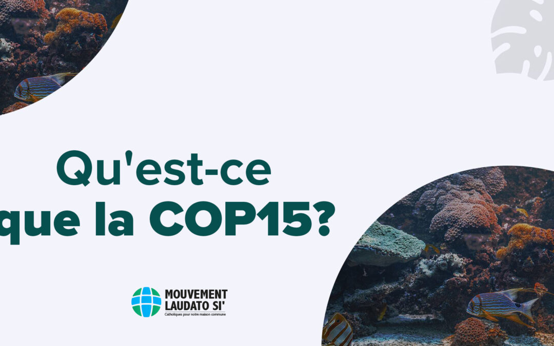 Qu’est-ce que la COP 15 ?