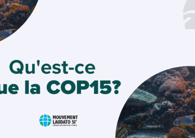 Qu’est-ce que la COP 15 ?