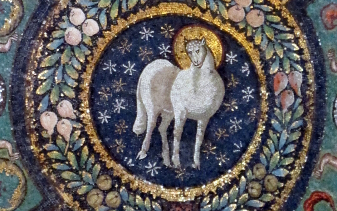 II Domenica del tempo ordinario – Rubrica “Cammino Laudato Si – Vangelo della domenica”