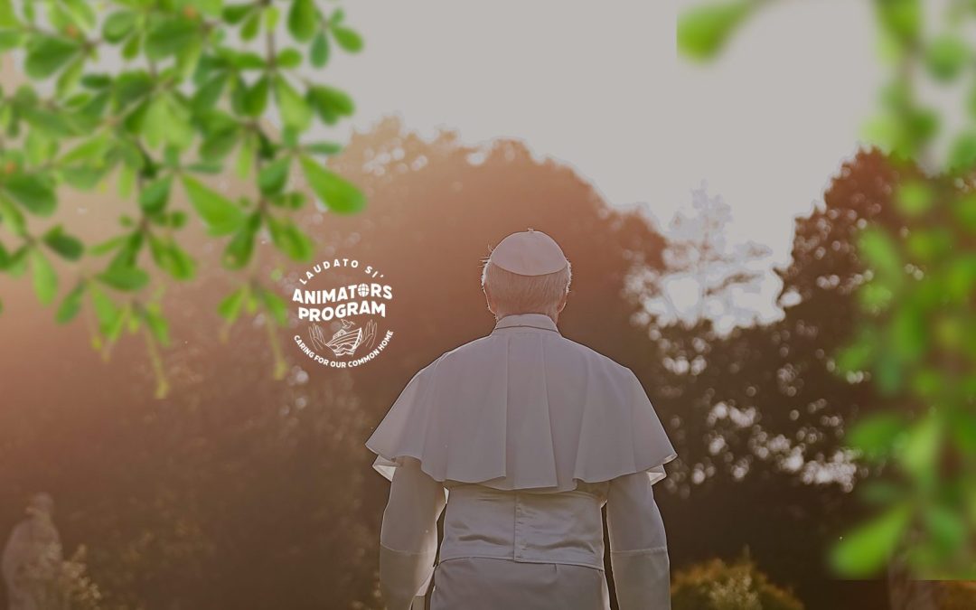 Laudato Si’ Animators: the global community that upholds the spiritual and ecological legacy of Benedict XVI