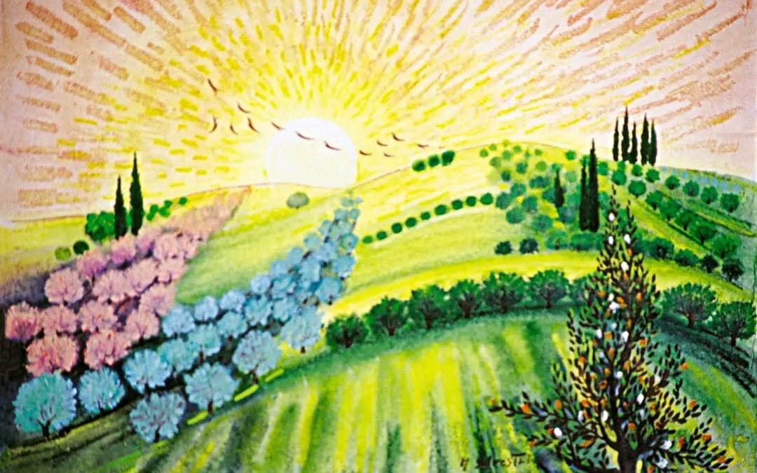 VI Domenica del tempo ordinario Rubrica “Cammino Laudato Si – Vangelo della domenica”