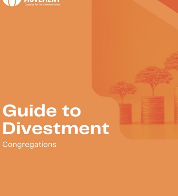 Guide To Divestment – Congregations