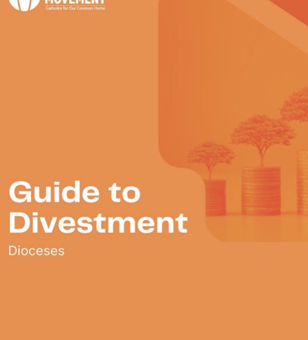 Guide To Divestment – Dioceses