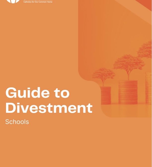 Guide To Divestment – Schools
