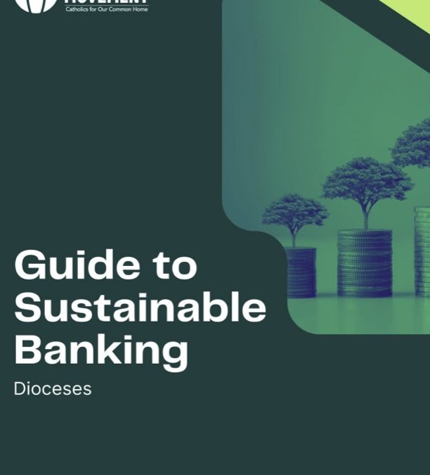 Guide To Sustainable Banking – Dioceses
