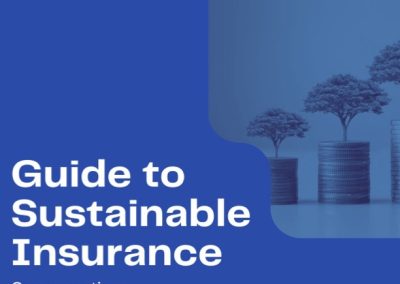 Guide To Sustainable Insurance – Congregation