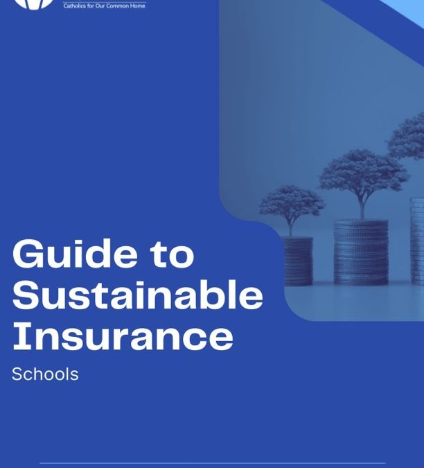 Guide To Sustainable Insurance – Schools