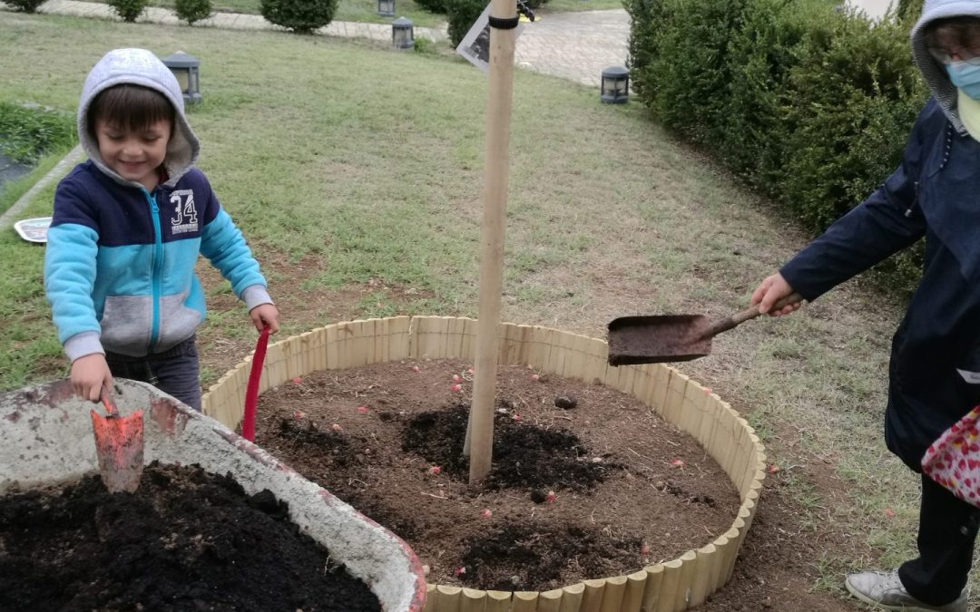 La Hna. Brigitte Brunet: Animadora de Laudato Si’ y embajadora del Cambio Ecológico por nuestra casa común